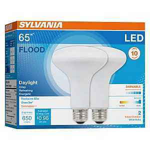 BULB LIGHT LED 10YR BR30 60W  