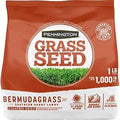 SEED GRASS BERMUDA 1LB        