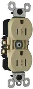 GRNDG RCPTCL DPX TR WR IVY 15A
