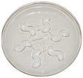 SAUCER PLUS HD PLANT 6IN      