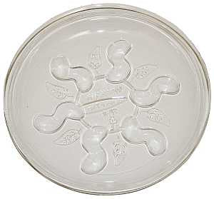 SAUCER PLUS HD PLANT 6IN      