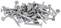NAIL ROOFING EG 2-1/2IN 1LB   