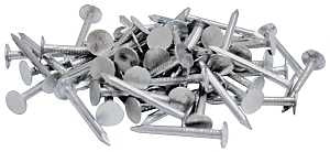 NAIL ROOFING EG 2-1/2IN 1LB   