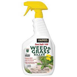WEED & GRASS KILLER RTU 32OZ  