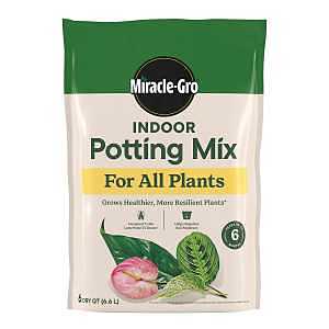 MIX POTTING INDOOR 6QT        