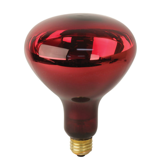 Feit Electric 250R40/10 Incandescent Reflector Heat Bulb, 250 W, BR40 Lamp, E26 Medium Lamp Base, 250 Lumens, Red Lamp