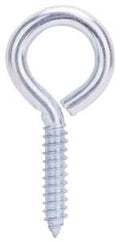 BOLT LAG EYE 3/8X4IN BRT ZN   