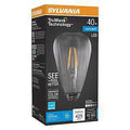 BULB LED ST19 DAYLIGHT 40W    