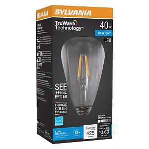 BULB LED ST19 DAYLIGHT 40W    
