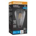 BULB LED ST19 DAYLIGHT 60W    