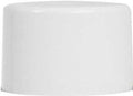 PAINT SPRAY FLAT WHITE 10OZ   