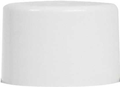 PAINT SPRAY FLAT WHITE 10OZ   