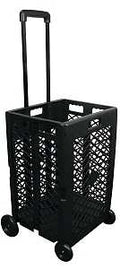 CART MESH WHEELED PACK-N-ROLL 
