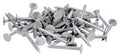 NAIL ROOFING EG 2IN 1LB       