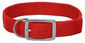 COLLAR HUNTING NYL ORNG 1X24IN