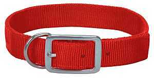 COLLAR HUNTING NYL ORNG 1X24IN