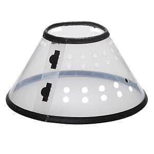ELIZABETHAN COLLAR CLR S 10IN 