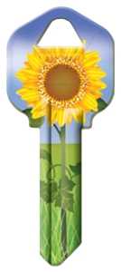 KW1-17 KEYBLANK SUNFLOWER     