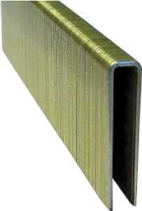 STAPLE FLOORING 1/4 X 1 18    