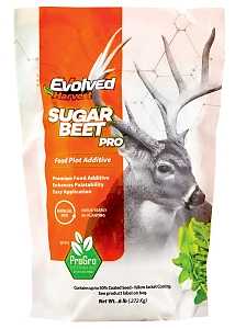 FOOD PLOT MIXER SUGAR BEET 1LB