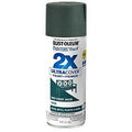 PAINT SPRAY SAT DEEP FRT 12OZ 