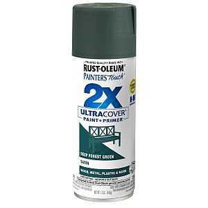 PAINT SPRAY SAT DEEP FRT 12OZ 