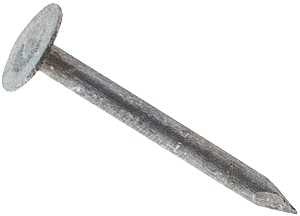 NAIL ROOFING EG 2IN 25LB      