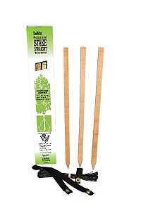 KIT STAKE TREE PROF 32IN      