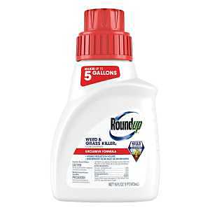 KILLER WEED & GRASS CONC 16OZ 