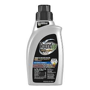 KILLER WEED&GRASS 12M CON 32OZ