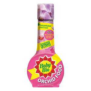 FOOD ORCHID                   