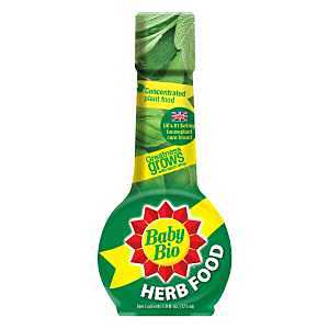 FOOD HERB                     