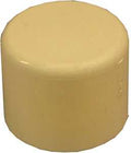 CAP CPVC 1 INCH               