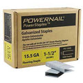 STAPLE FLOORING 15.5GA 1-1/2IN