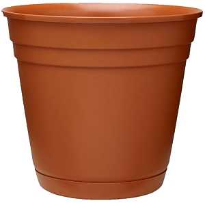 PLANTER/SAUCER TERRA COTTA 8IN