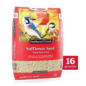 SAFFLOWER SEED FEATHERED 16LB 