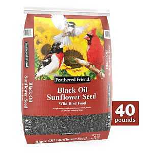 FOOD BIRD SNFLWR BLK OIL 40LB 