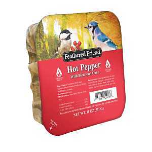 WILD BIRD SUET HOT PEPPER 11OZ