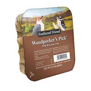 WLD BIRD SUET WOODPECKER 9.5OZ