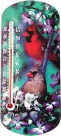 THERMOMETER OUTDR SUCTN CUP 8"