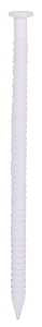 NAIL PANEL WHITE 1LB 1-5/8IN  