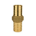 INSERT COUPLING BRASS 1IN     