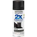 PAINT SPRAY IN EX SG BLK 12OZ 