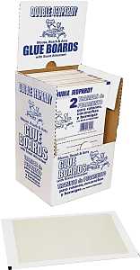 BOARD GLUE DOUBLE JEPORARDY   