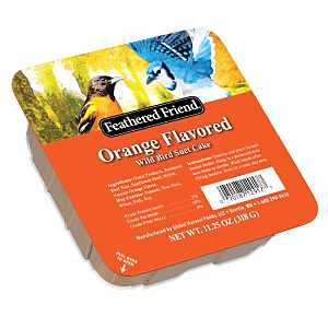 FOOD BD SUET ORG DLIGT 11.25OZ