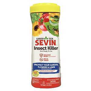 DUST KILLER INSECT 1LB        