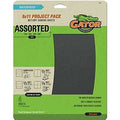 SNDPAPR SILI CAB ASST 9X11IN  