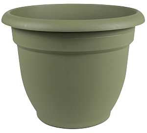 PLANTER LIVING GREEN 6IN      