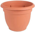 PLANTER TERRA COTTA 6IN       