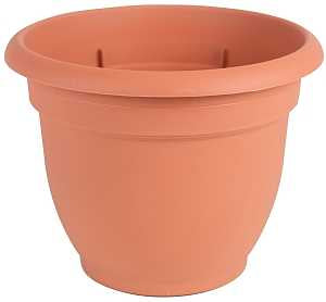 PLANTER TERRA COTTA 6IN       